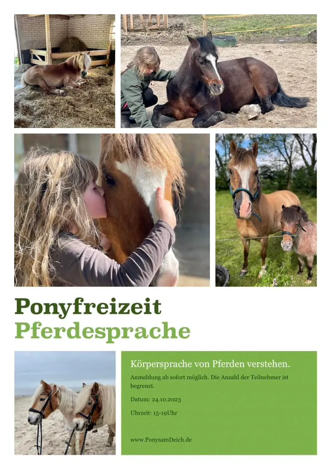 Ponyfreizeit Pferdesprache